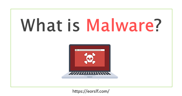what is Malware